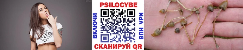 Псилоцибиновые грибы мухоморы  Купить закладки  Белогорск 
